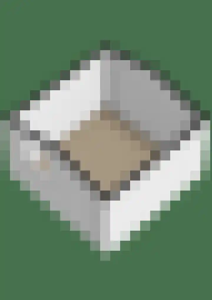 Patrijs 16 Grijpskerk thumbnail 40