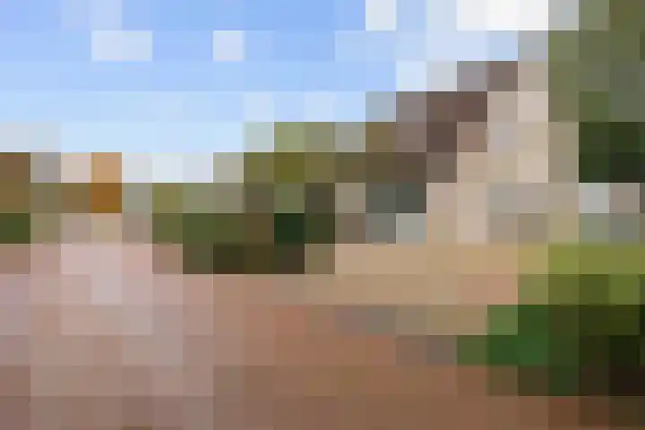 Patrijs 16 Grijpskerk thumbnail 5