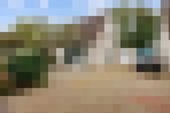 Patrijs 16 Grijpskerk thumbnail 6