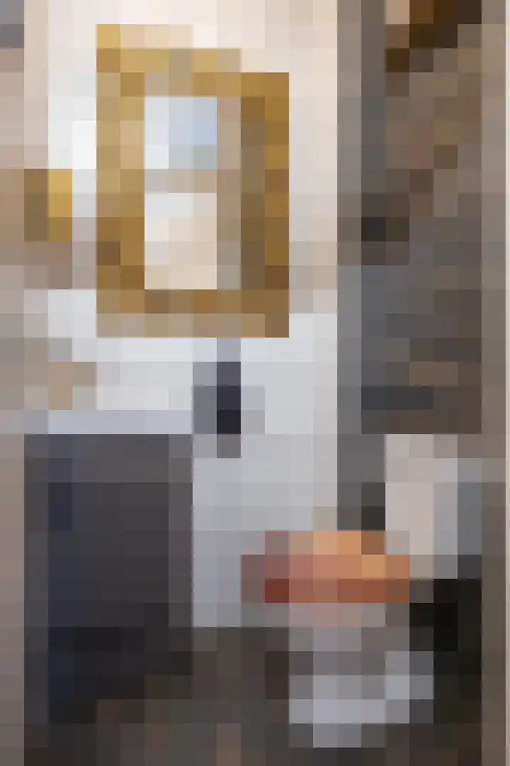 Patrijs 16 Grijpskerk thumbnail 8
