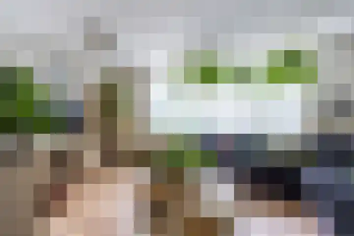Patrijs 16 Grijpskerk thumbnail 9