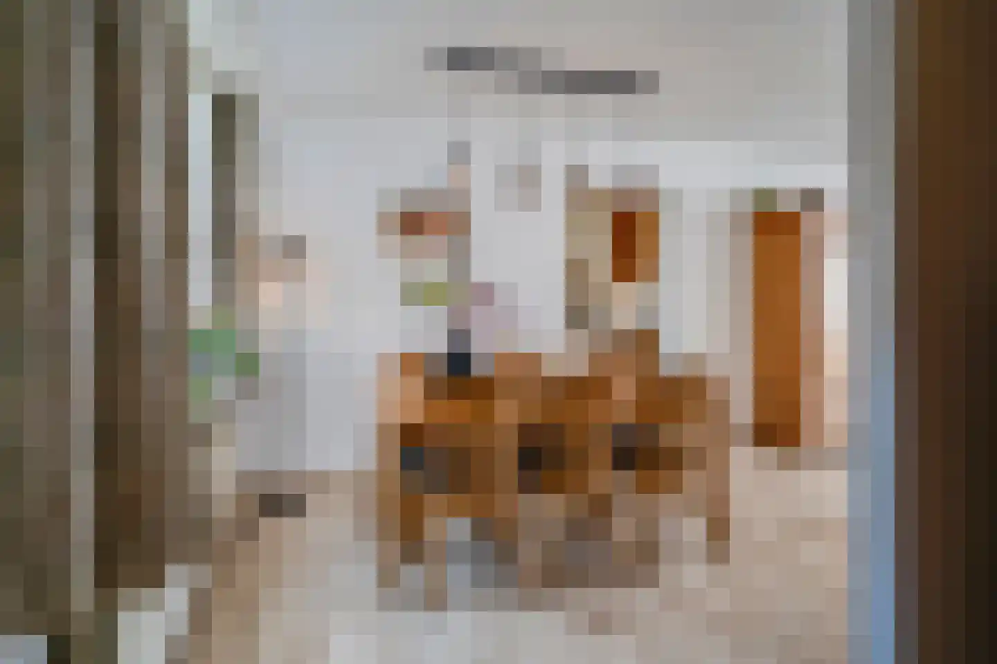 Patrijs 17 Deurne thumbnail 10