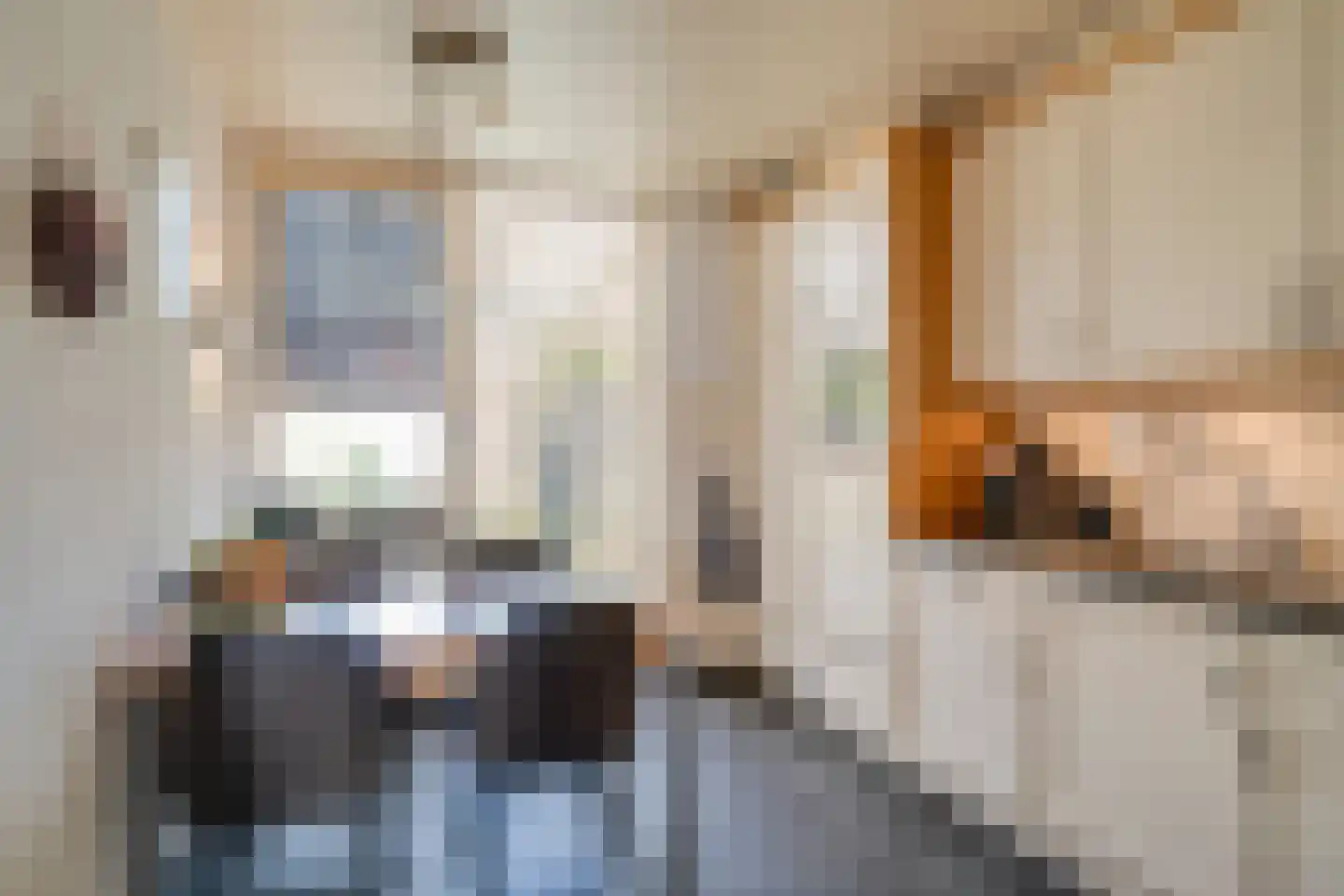 Patrijs 17 Deurne thumbnail 13