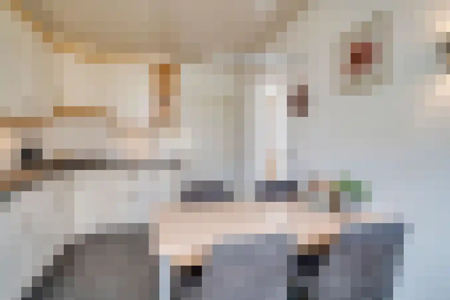 Patrijs 17 Deurne thumbnail 15
