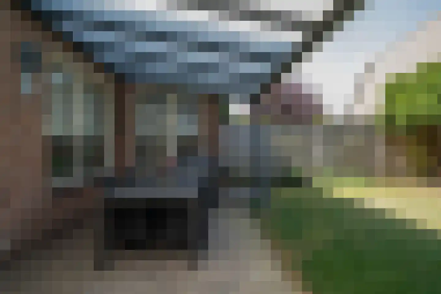 Patrijs 17 Deurne thumbnail 16