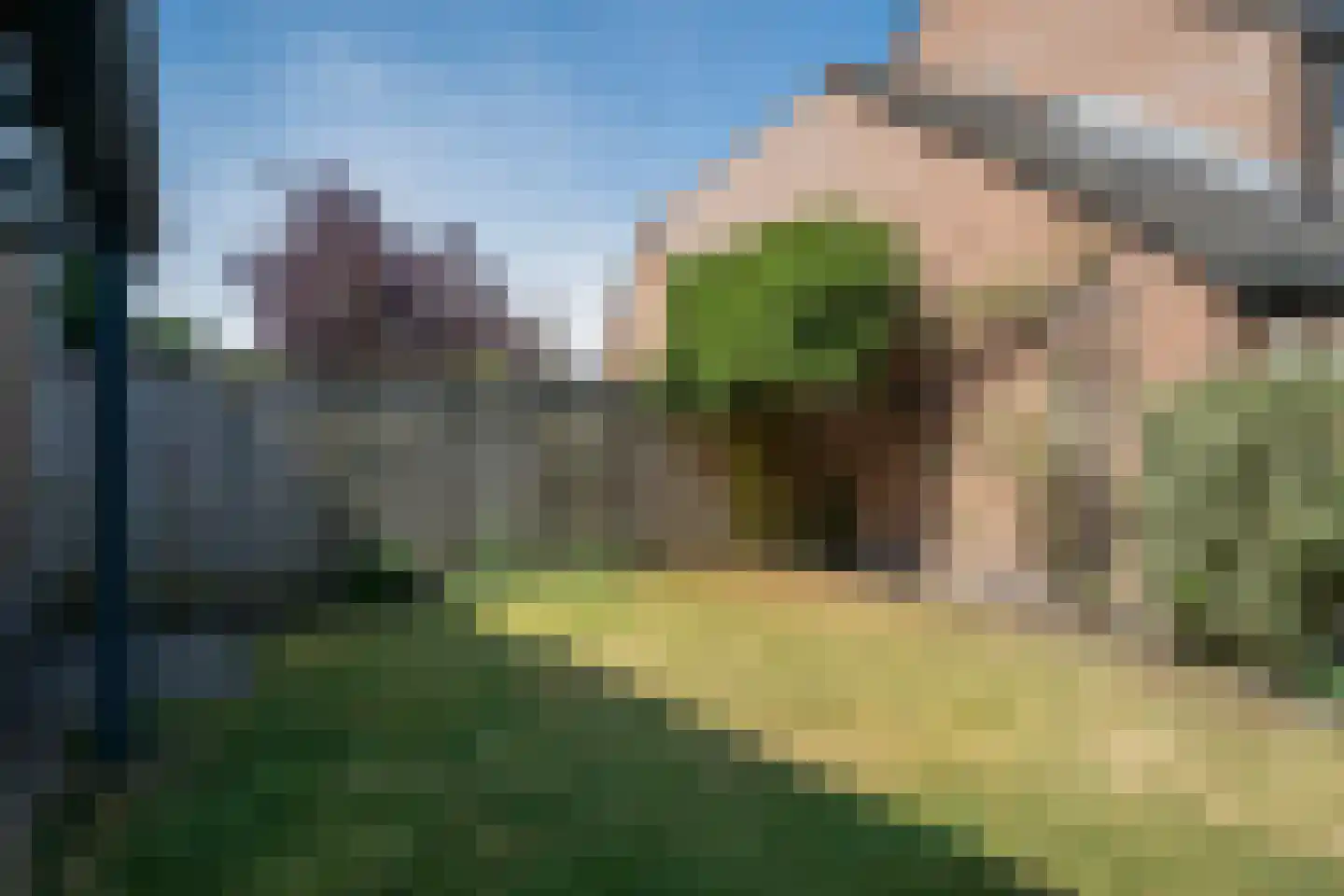 Patrijs 17 Deurne thumbnail 18