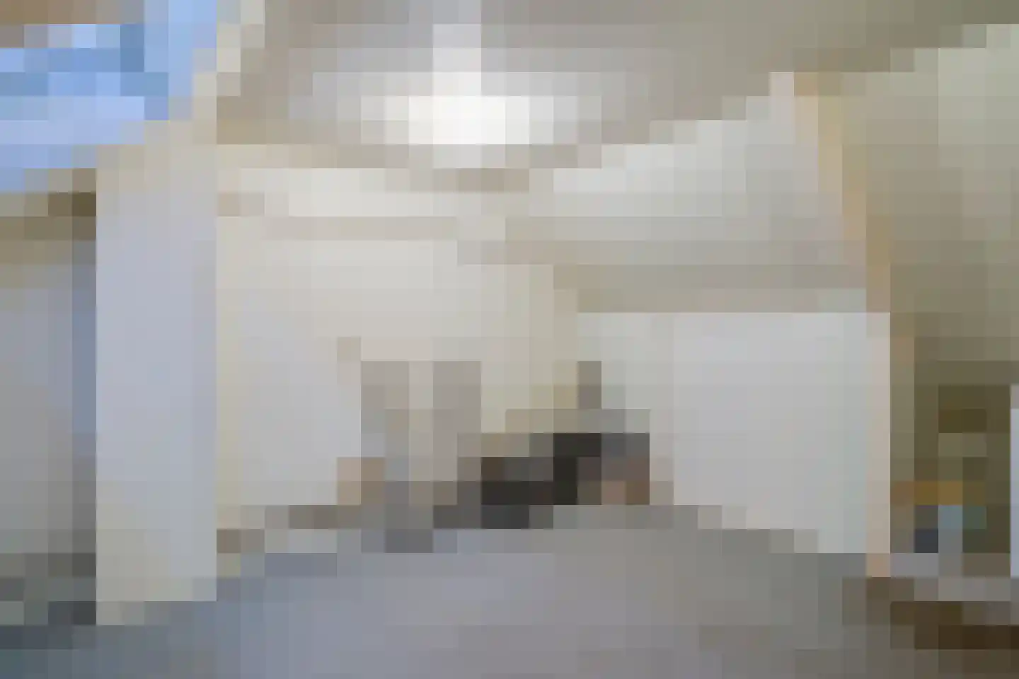 Patrijs 17 Deurne thumbnail 29