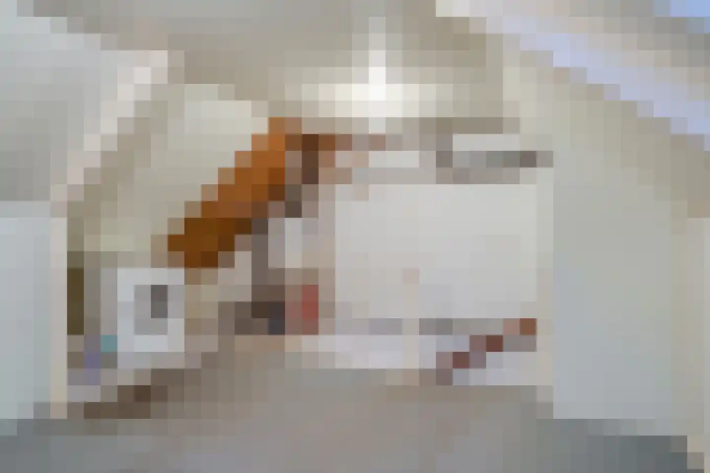 Patrijs 17 Deurne thumbnail 30