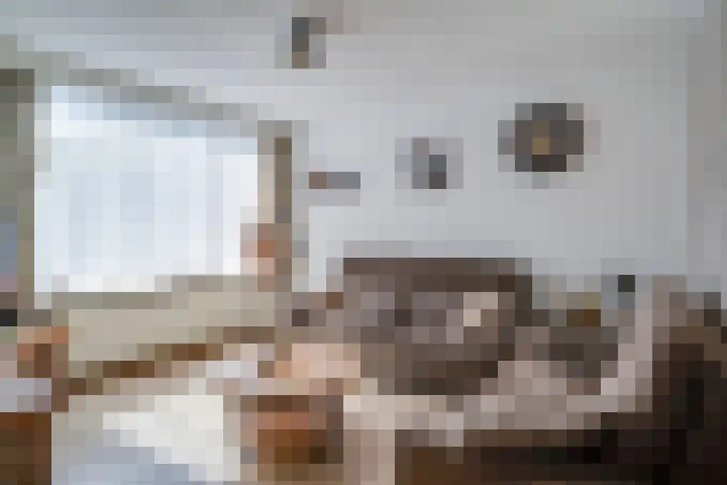Patrijs 17 Deurne thumbnail 6