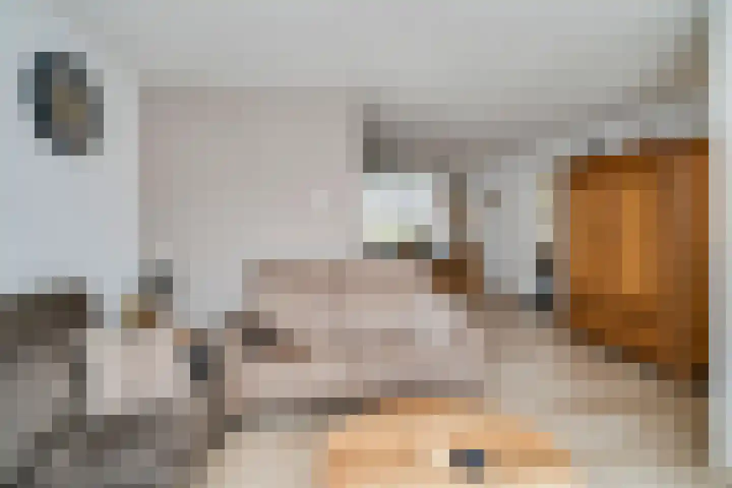 Patrijs 17 Deurne thumbnail 7