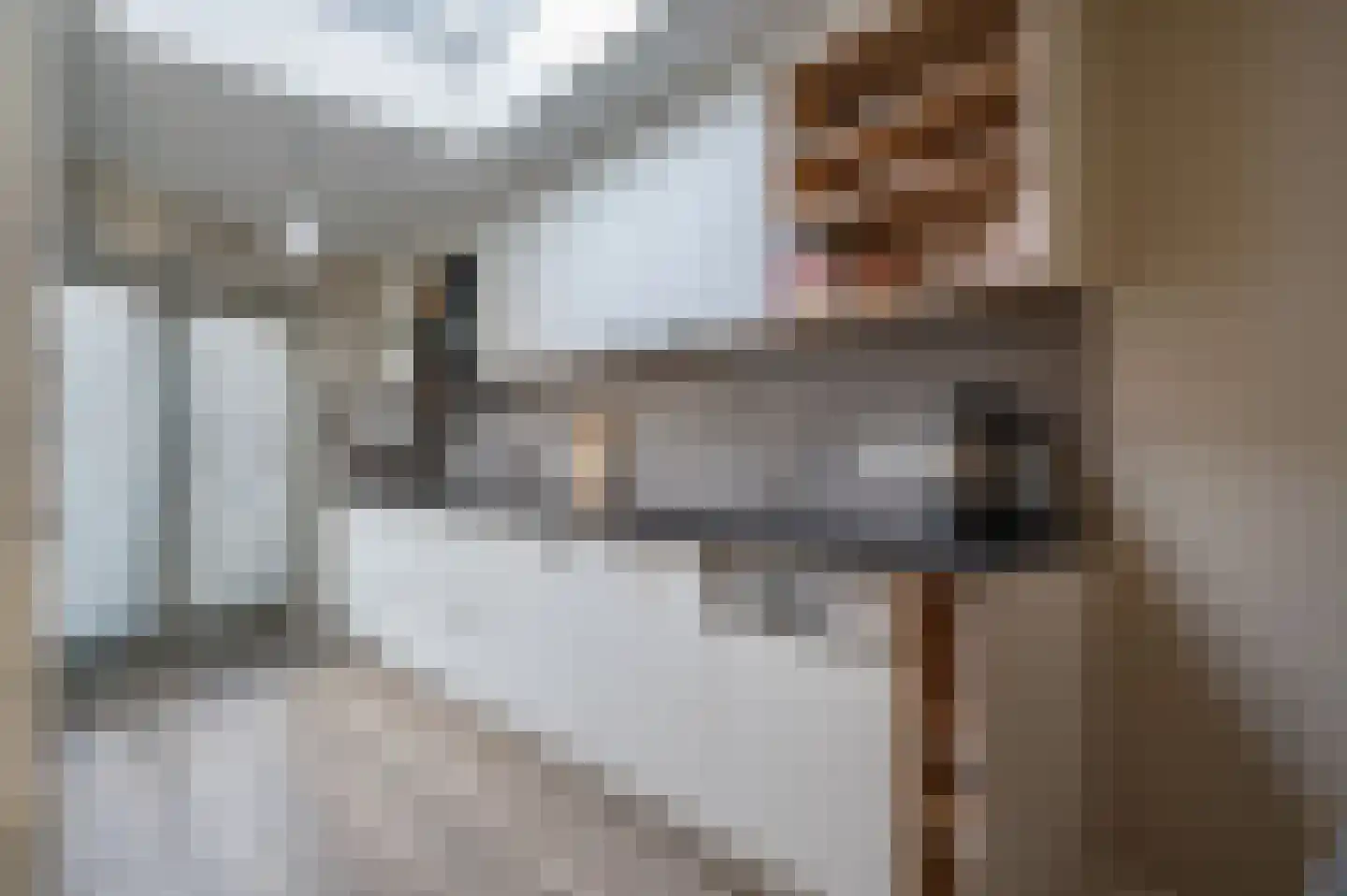 Patrijs 17 Staphorst thumbnail 10