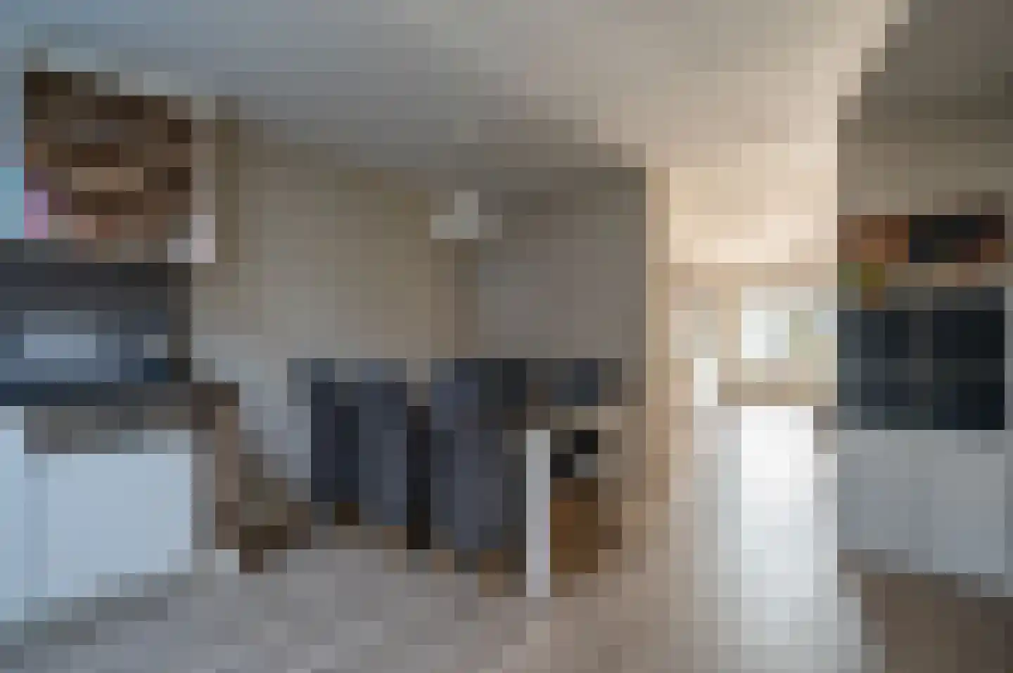 Patrijs 17 Staphorst thumbnail 12