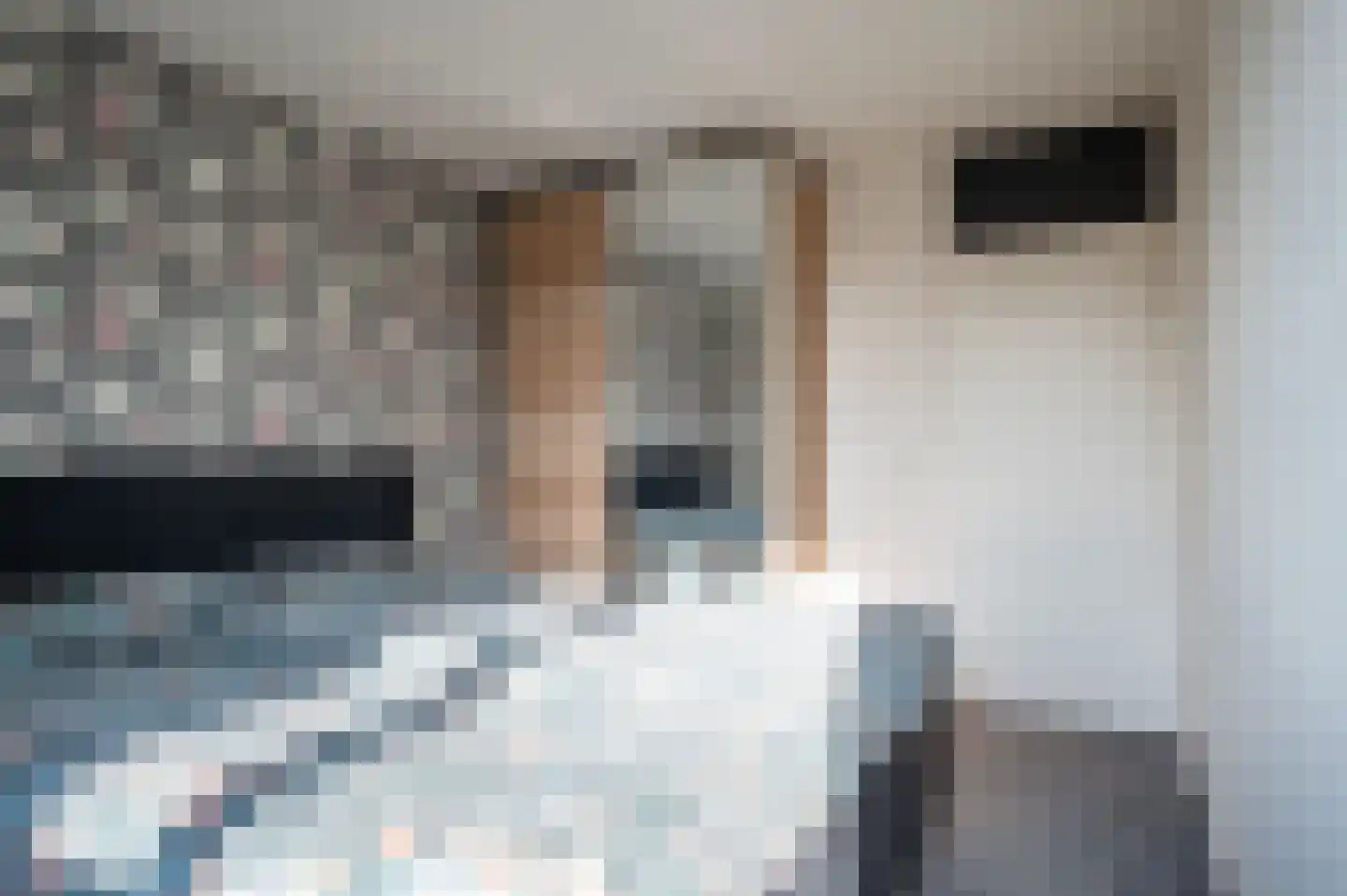 Patrijs 17 Staphorst thumbnail 18