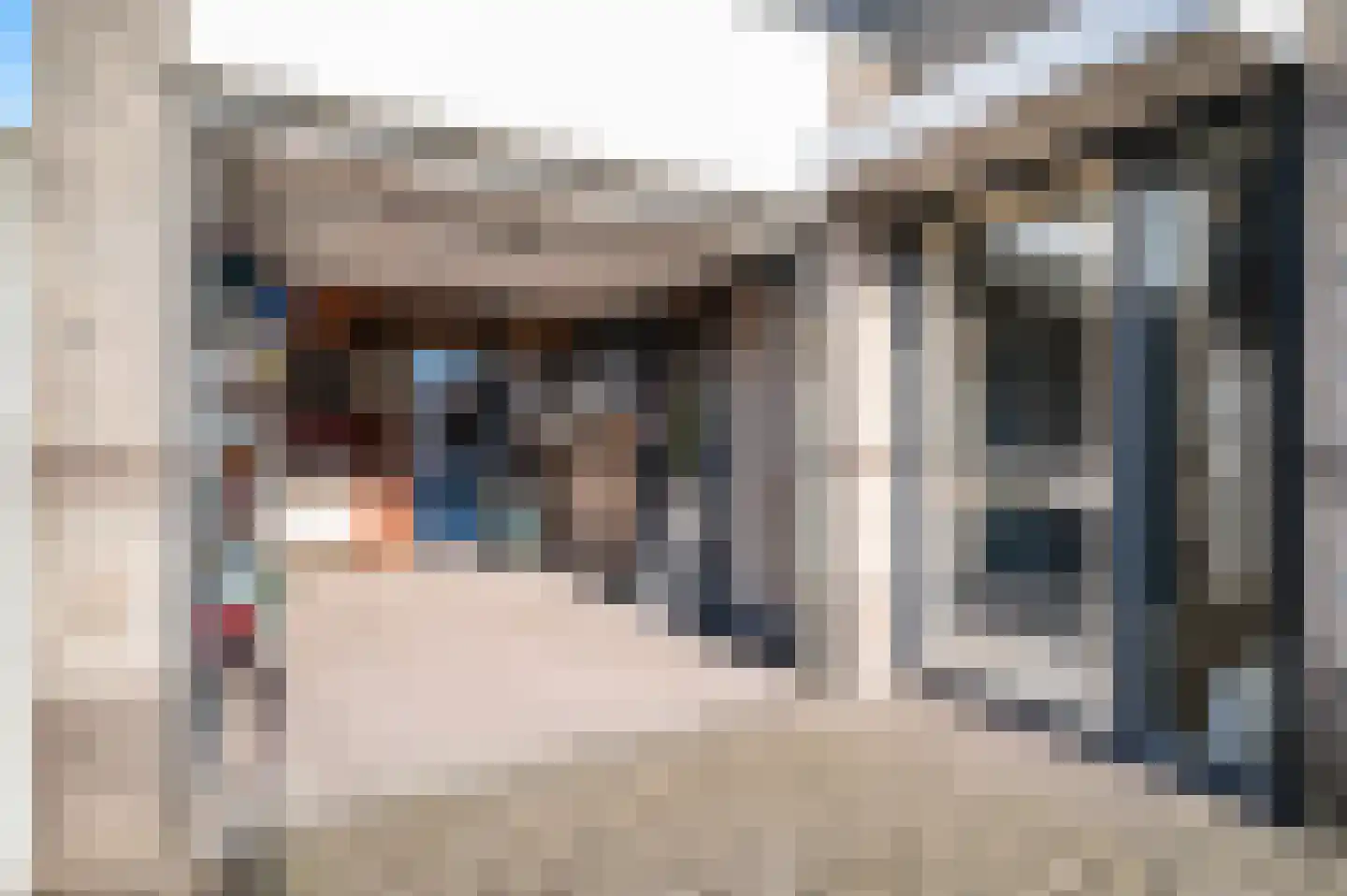 Patrijs 17 Staphorst thumbnail 33
