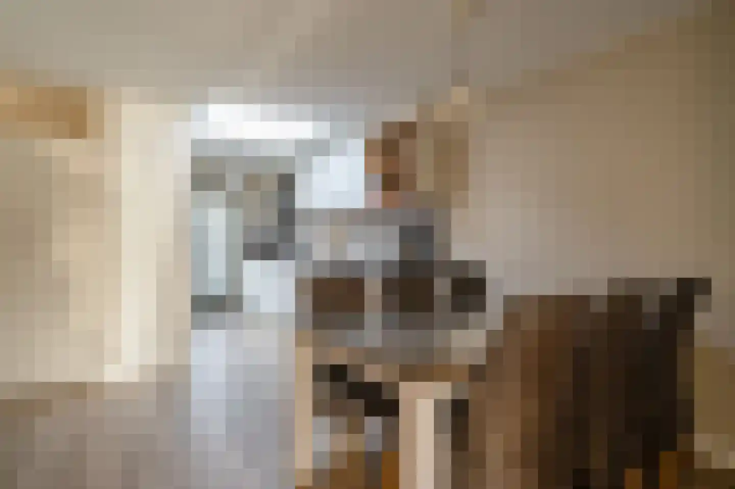 Patrijs 17 Staphorst thumbnail 9