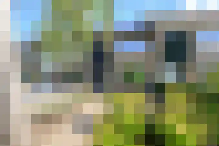 Patrijs 17 Ursem
