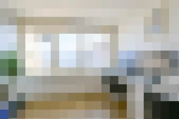 Patrijs 17 Ursem thumbnail 17