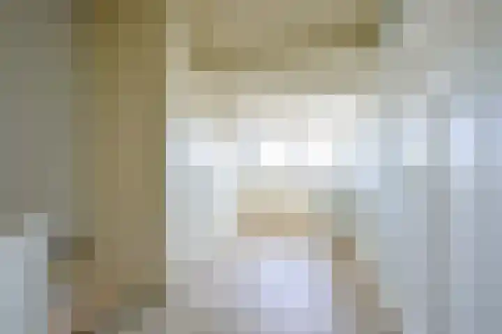 Patrijs 17 Ursem thumbnail 21