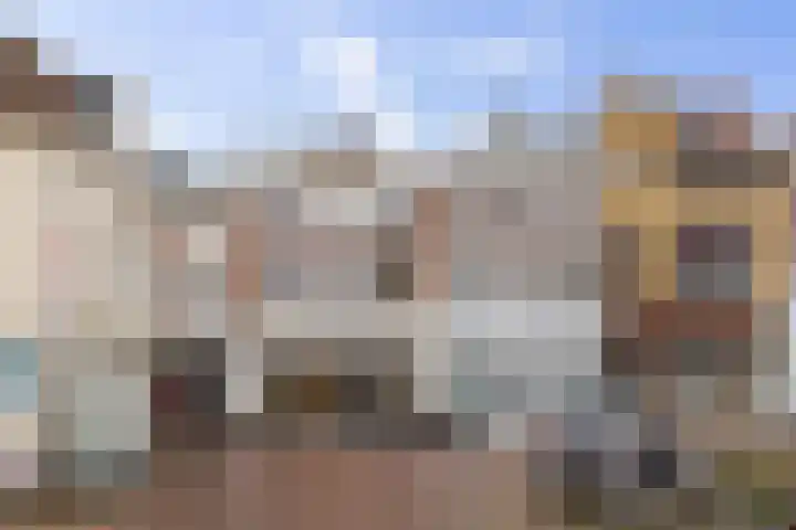 Patrijs 17 Ursem thumbnail 23