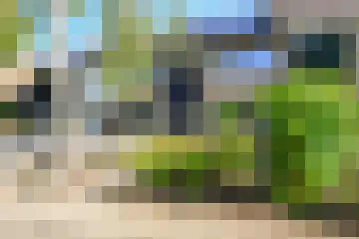 Patrijs 17 Ursem thumbnail 29