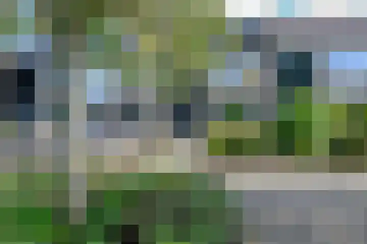 Patrijs 17 Ursem thumbnail 30