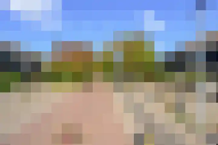 Patrijs 17 Ursem thumbnail 31