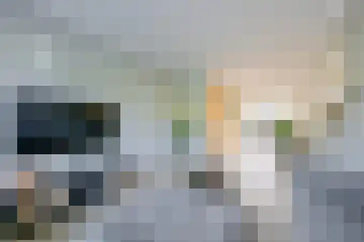 Patrijs 17 Ursem thumbnail 4