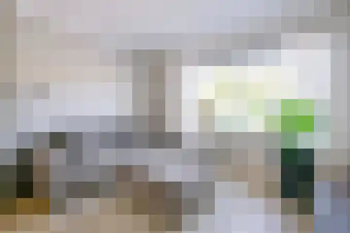 Patrijs 17 Ursem thumbnail 5