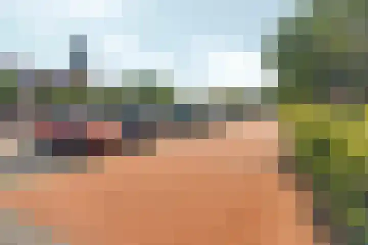 Patrijs 17 Ursem thumbnail 6