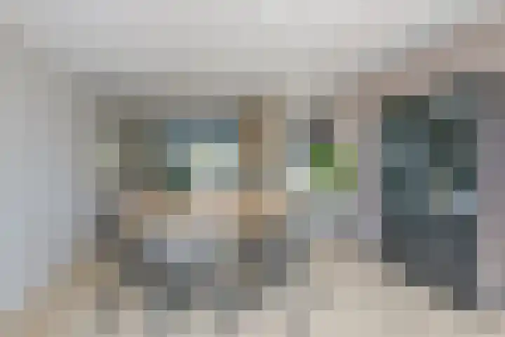 Patrijs 17 Ursem thumbnail 6