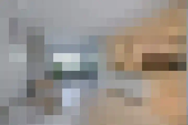 Patrijs 17 Ursem thumbnail 8