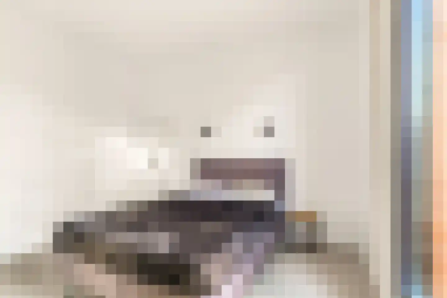 Patrijs 21 A Ursem thumbnail 20