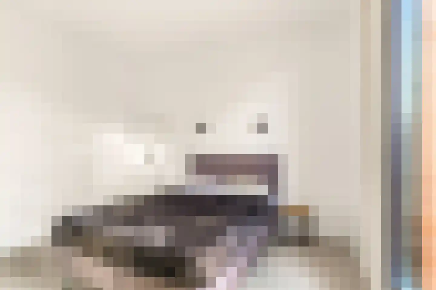 Patrijs 21 A Ursem thumbnail 21
