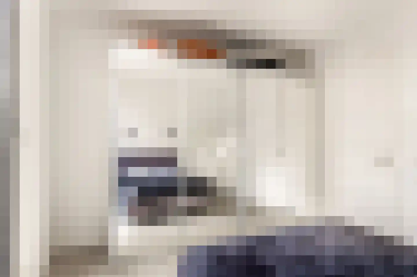 Patrijs 21 A Ursem thumbnail 21