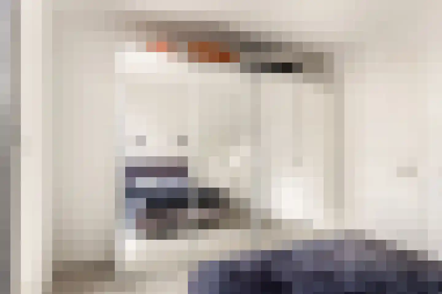 Patrijs 21 A Ursem thumbnail 22