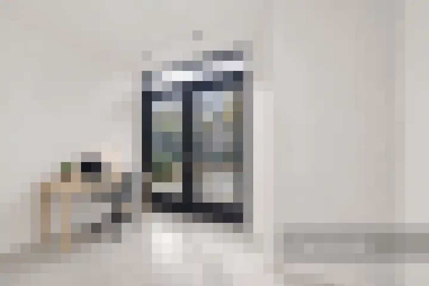 Patrijs 21 A Ursem thumbnail 31