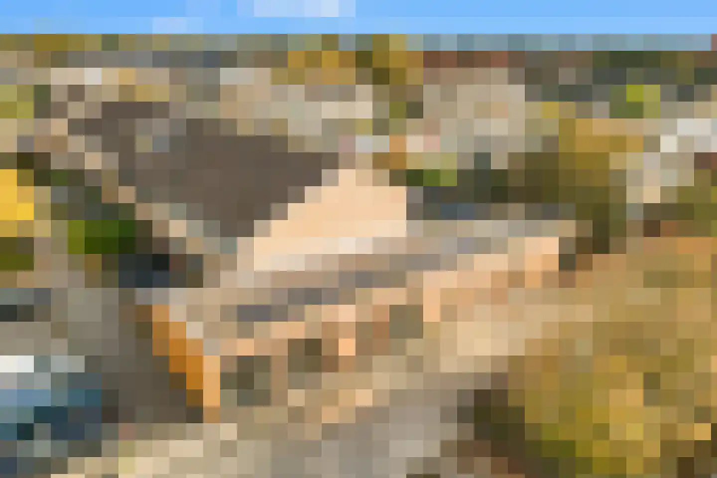 Patrijs 21 A Ursem thumbnail 31