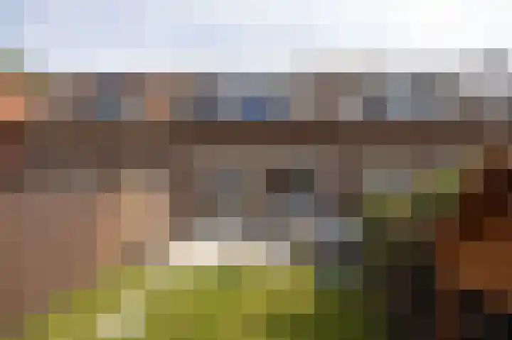 Patrijs 30 Etten-Leur thumbnail 30