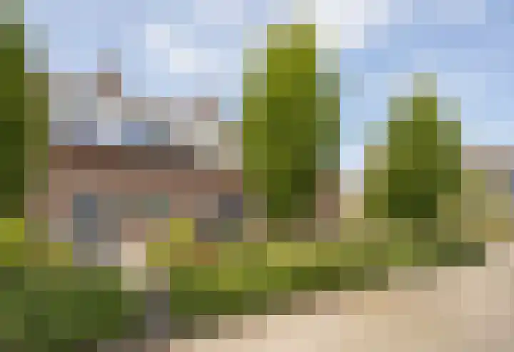 Patrijs 30 Etten-Leur thumbnail 32