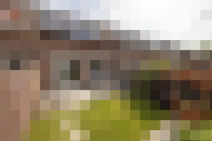 Patrijs 30 Etten-Leur thumbnail 4