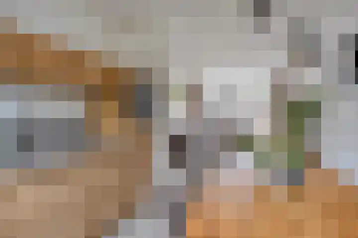 Patrijs 37 Etten-Leur thumbnail 10