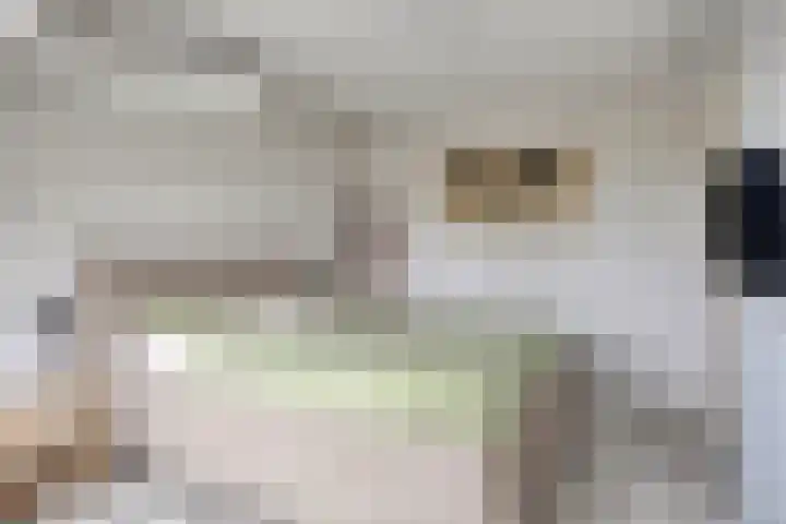 Patrijs 37 Etten-Leur thumbnail 13