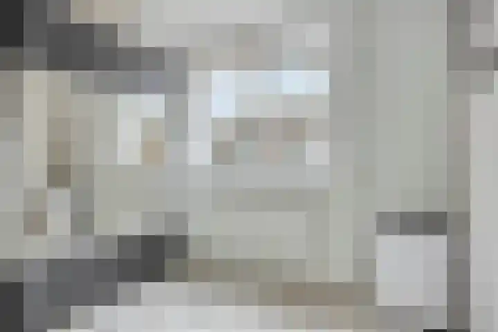 Patrijs 37 Etten-Leur thumbnail 18