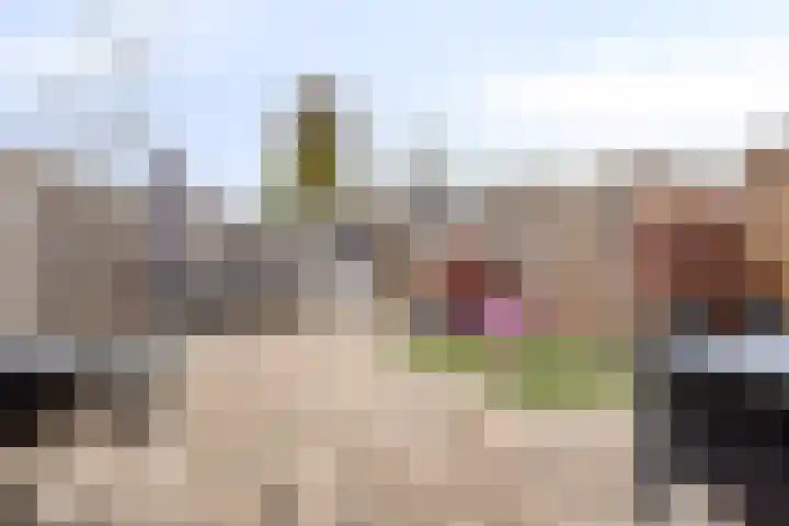Patrijs 37 Etten-Leur thumbnail 24
