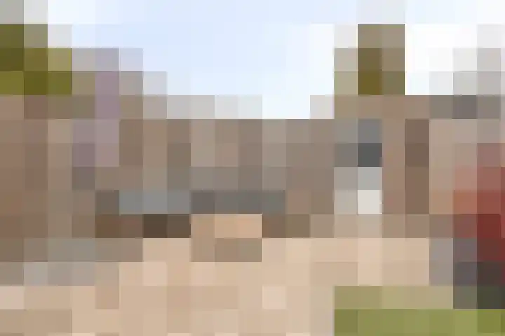 Patrijs 37 Etten-Leur thumbnail 25