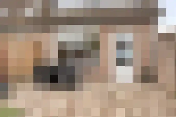 Patrijs 37 Etten-Leur thumbnail 26
