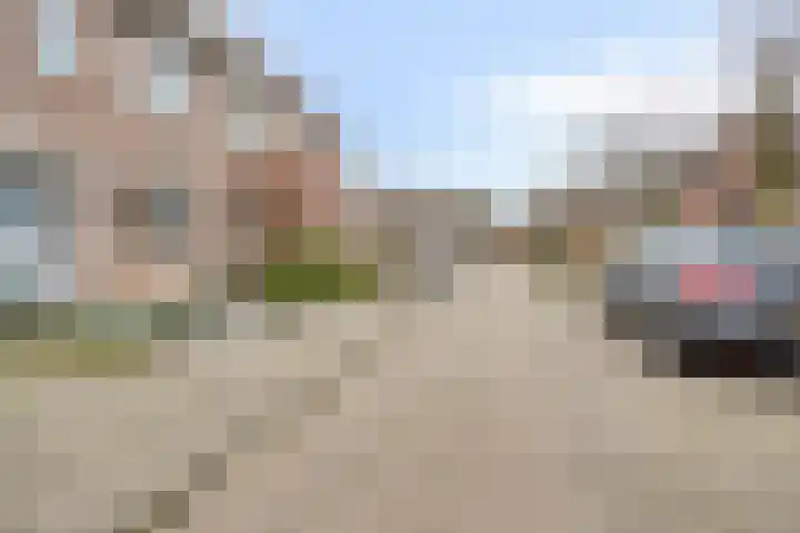 Patrijs 37 Etten-Leur thumbnail 27