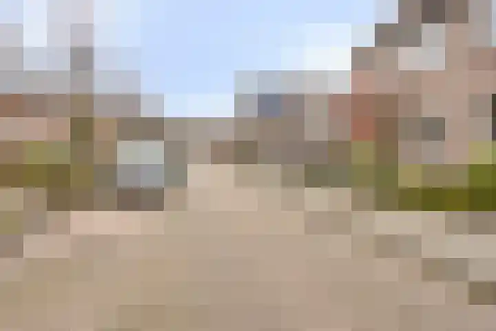 Patrijs 37 Etten-Leur thumbnail 28