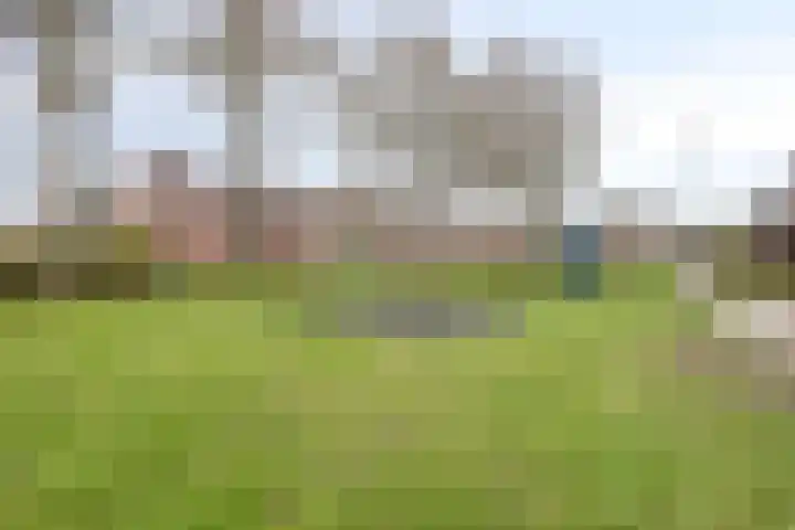 Patrijs 37 Etten-Leur thumbnail 29