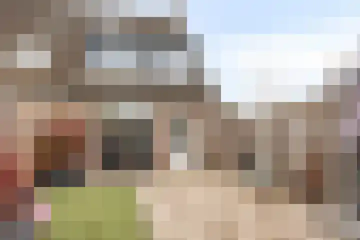 Patrijs 37 Etten-Leur thumbnail 4